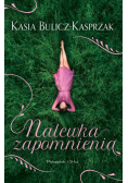 Nalewka Zapomnienia