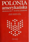 Polonia amerykańska przeszłość i współczesność