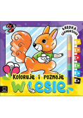 Koloruję i poznaję W lesie Kredka segmentowa
