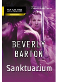 Sanktuarium