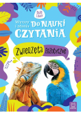 Wyrazy i zdania do nauki czytania. Zwierzęta