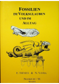 Fossilien im Volksglauben und im Alltag