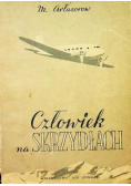 Człowiek na skrzydłach