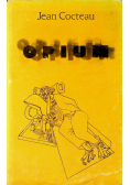 Opium Dziennik kuracji odwykowej