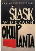 Śląsk w oczach okupanta