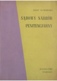 Sądowy nadzór penitencjarny