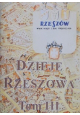 Dzieje Rzeszowa tom III