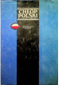Chłop polski w Europie i Ameryce Tom 4