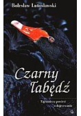 Czarny łabędź