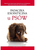 Padaczka idiopatyczna u psów
