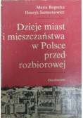 Dzieje miasta i mieszczaństwa w Polsce przedrozbiorowej
