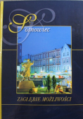 Sosnowiec Zagłębie możliwości