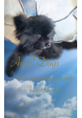 Angel Dogs in Heaven