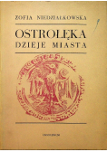 Ostrołęka Dzieje miasta