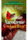 Boże Narodzenie w Lost River