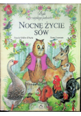 Nocne Życie Sów