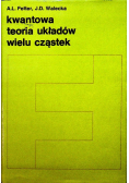 Kwantowa teoria układów wielu cząstek
