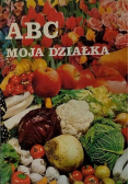 Abc kwiaciarstwa moja działka