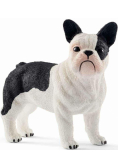 Buldog Francuski