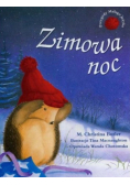 Zimowa noc
