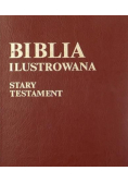 Biblia Ilustrowana Stary Testament