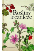 Rośliny lecznicze