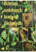 Ochrona ozdobnych krzewów liściastych