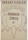 Kanada pachnąca żywicą