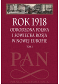 Rok 1918 tom 1