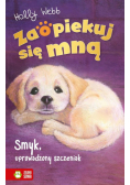Zaopiekuj się mną Smyk, uprowadzony szczeniak