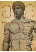Anatomia Schematy do ćwiczeń