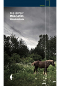 Miedzianka