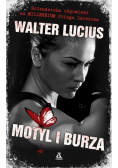Motyl i burza