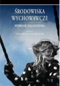Środowiska wychowawcze Wybrane zagadnienia