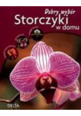 Storczyki w domu Dobry wybór