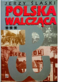 Polska walcząca tom 3