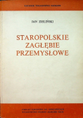 Staropolskie zagłębie przemysłowe