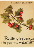 Rośliny lecznicze i bogate w witaminy