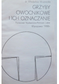 Grzyby owocnikowe i ich oznaczanie