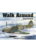 Walk around Hurricane