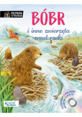 Bóbr i inne zwierzęta znad rzeki