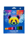 Kredki Triocolor Niedźwiedź 36 kolorów