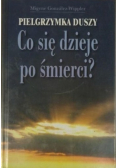 Pielgrzymka duszy Co się dzieje po śmierci