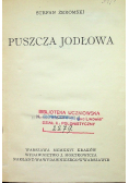 Puszcza jodłowa 1926r