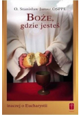 Boże gdzie jesteś Inaczej o Eucharystii