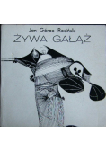 Żywa gałąź
