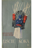 Liście koka
