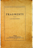 Fragmenty 1928 r.