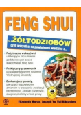 Feng shui dla żółtodziobów