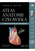 Atlas anatomii człowieka
